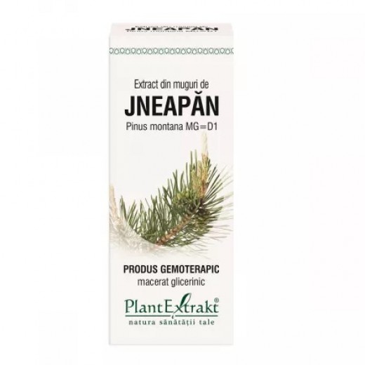 Extract  din Muguri de Jneapan, 50 ml, Plantextrakt