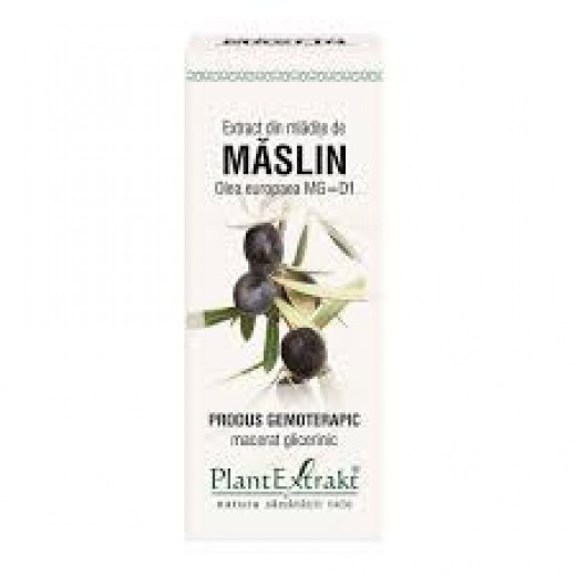 Extract Maslin 50 ml