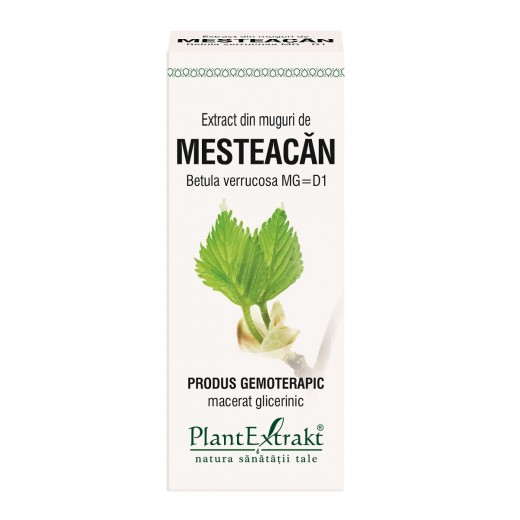 Extract  Mesteacan